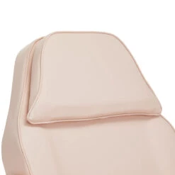 ActiveShop Hydraulic Cosmetic Chair Basic 202 With Trays Pink(Activeshop Hydraulic Cosmetic Chair Basic 202 With Trays Pink) -Roxie Cosmetics Shop 149594 12 0608