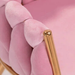 4Rico Chair QS-GW06G Pink(4rico Chair Qs Gw06g Pink) -Roxie Cosmetics Shop 150121 05 1410