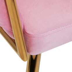 4Rico Chair QS-GW06G Pink(4rico Chair Qs Gw06g Pink) -Roxie Cosmetics Shop 150121 06 1410