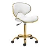 Gabbiano Cosmetic Stool Q-4599G White(Gabbiano Cosmetic Stool Q 4599g White)