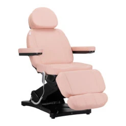 Sillon Electric Cosmetic Chair Classic 3 Motors Pink(Sillon Electric Cosmetic Chair Classic 3 Motors Pink)