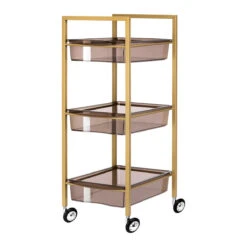 Beauty Trolley / Helper 93 Gold On Wheels(Beauty Trolley Helper 93 Gold On Wheels)