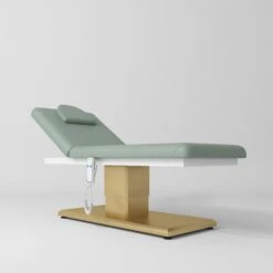 Manufakturo Chérie Premium Electric Massage Bed - Olive(Manufakturo Cherie Premium Electric Massage Bed Olive)