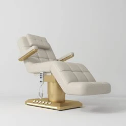 Manufakturo Saphir Version B Electric Salon Bed With Dual Controls Cappuccino(Manufakturo Saphir Version B Electric Salon Bed With Dual Controls Cappuccino)