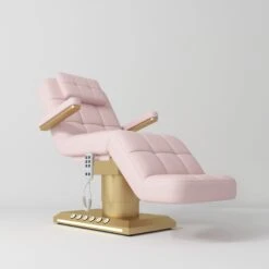 Manufakturo Saphir Version B Electric Salon Bed With Dual Controls Light Pink(Manufakturo Saphir Version B Electric Salon Bed With Dual Controls Light Pink)