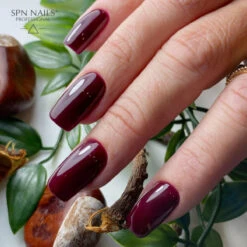 SPN Nails UV/LED Gel Polish 999 Wine Not?(Spn Nails Uv Led Gel Polish 999 Wine Not) -Roxie Cosmetics Shop spn nails uv led gel polish 999 wine not nail style roxie cosmetics